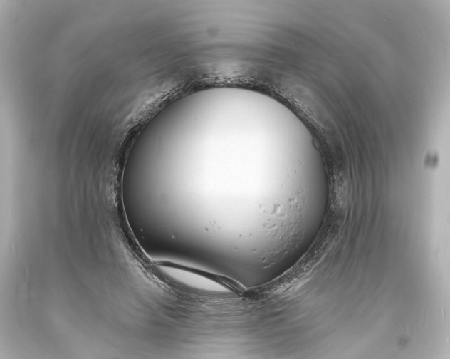 X0000094070450200711021514