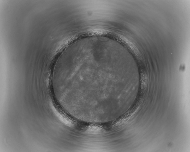 X0000094070451200711021514