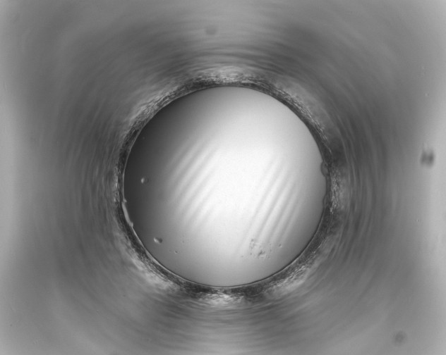 X0000094070453200711021514