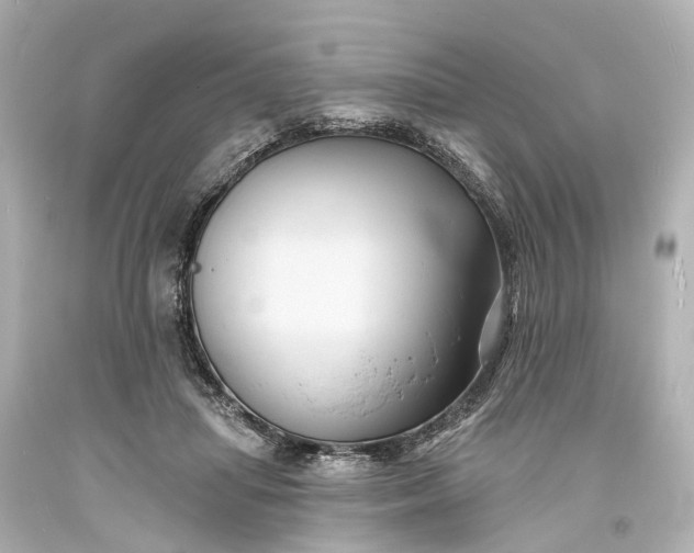 X0000094070455200711021514