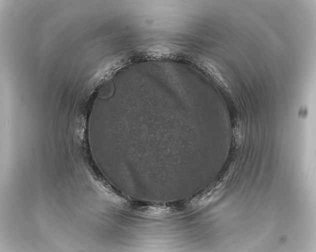 X0000094070458200711021514