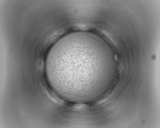 X0000094070459200711021514