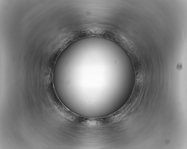 X0000094070464200711021514
