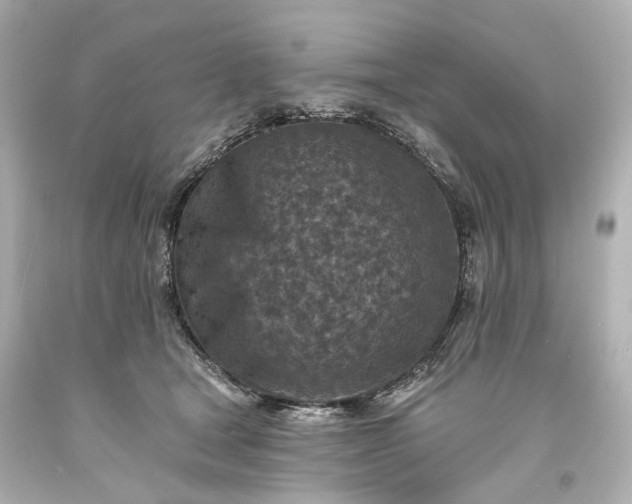 X0000094070465200711021514