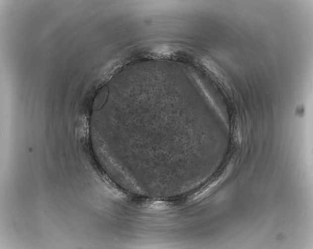 X0000094070467200711021514