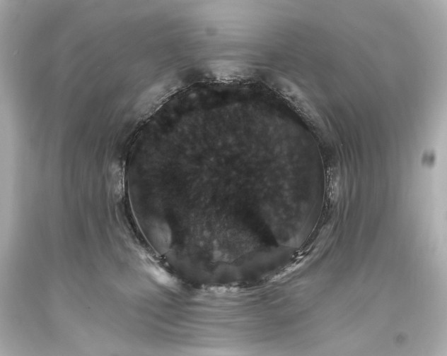 X0000094070471200711021514