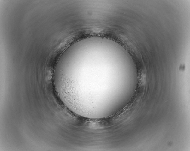 X0000094070472200711021514