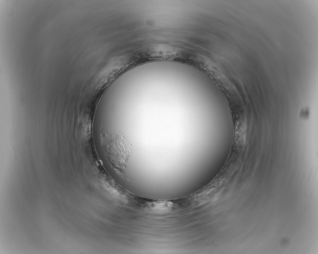 X0000094070474200711021514