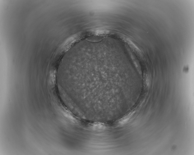 X0000094070475200711021514