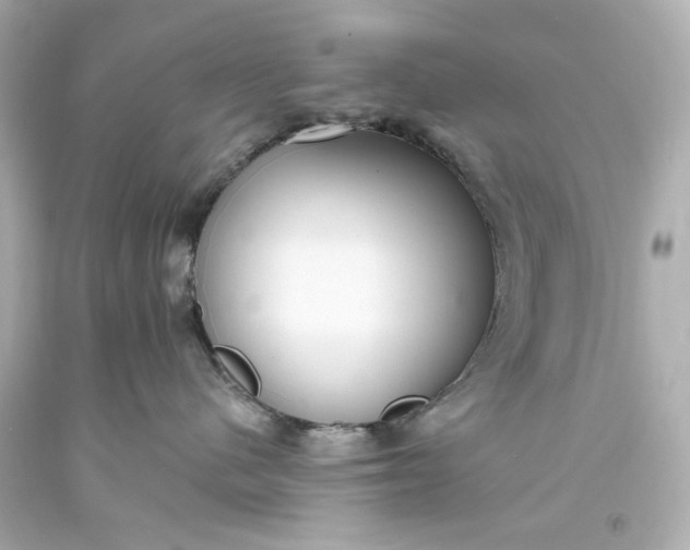 X0000094070480200711021514