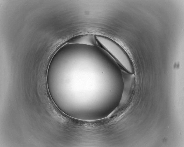 X0000094070481200711021513