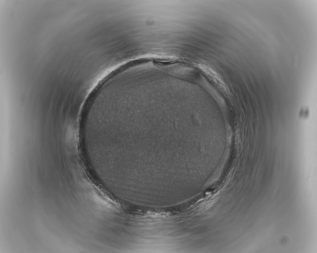 X0000094070484200711021513