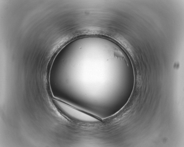 X0000094070485200711021513