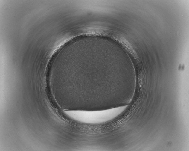 X0000094070488200711021513