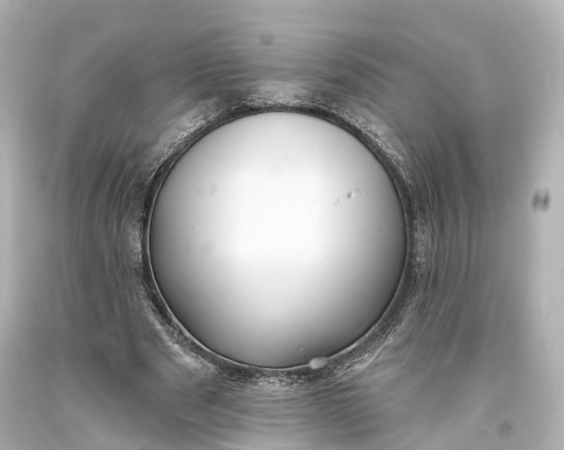 X0000094070489200711021513