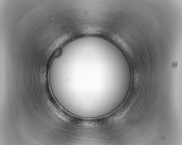 X0000094070490200711021513