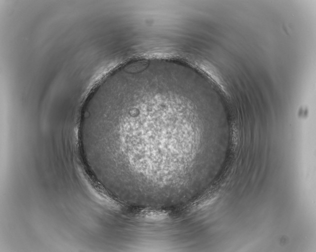 X0000094070491200711021513