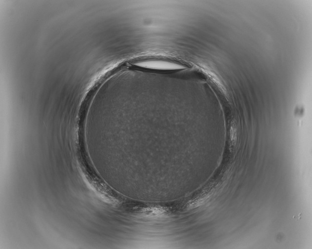 X0000094070492200711021513