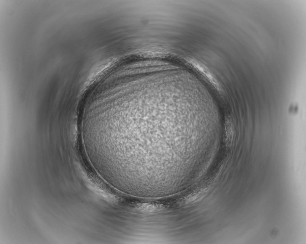 X0000094070494200711021513