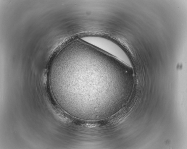 X0000094070495200711021513