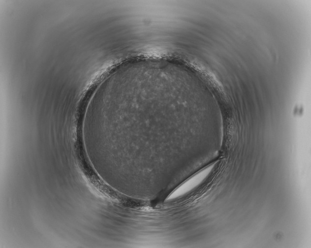 X0000094070496200711021513