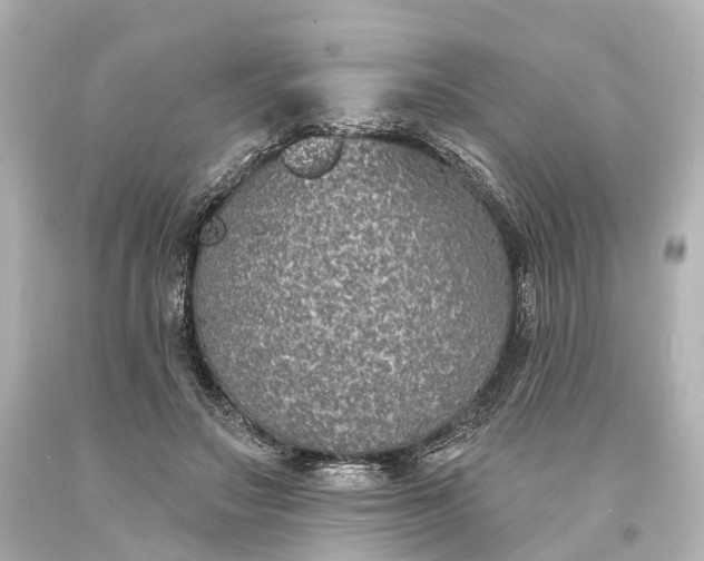 X0000094070499200711021513