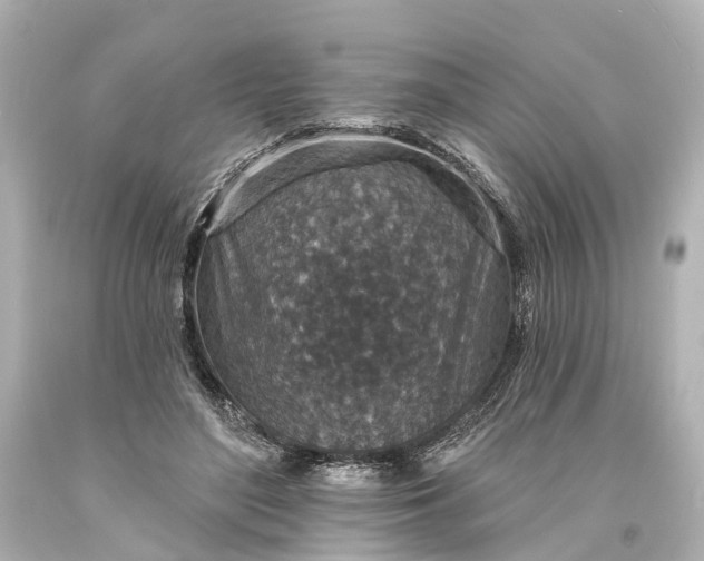 X0000094070500200711021513