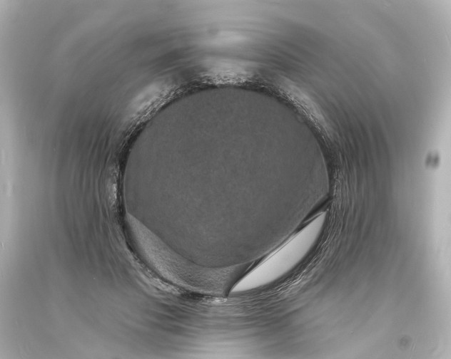 X0000094070501200711021513