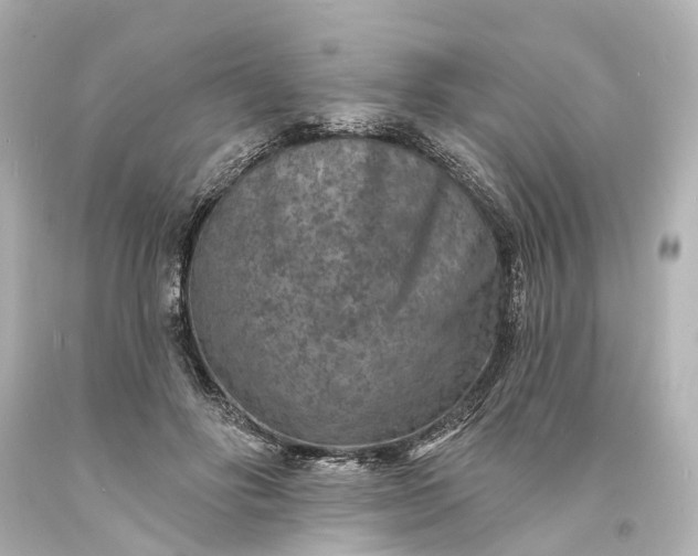 X0000094070502200711021513