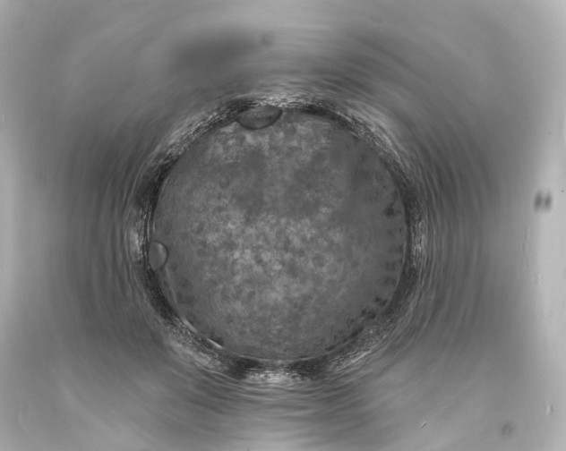 X0000094070503200711021513