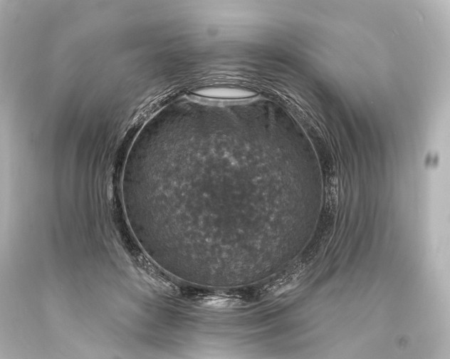 X0000094070504200711021513
