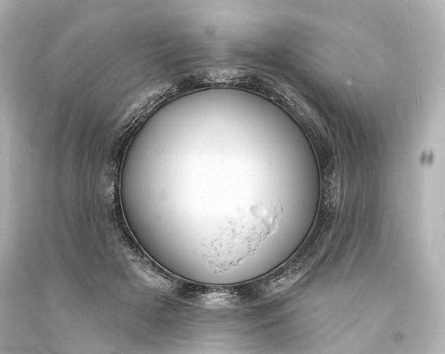 X0000094070505200711021513