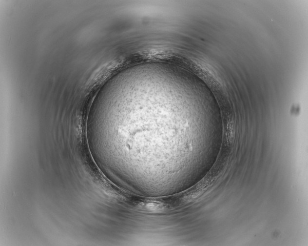 X0000094070506200711021513