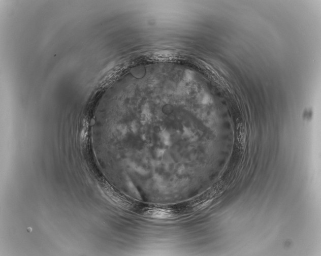 X0000094070507200711021513
