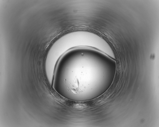 X0000094070508200711021513