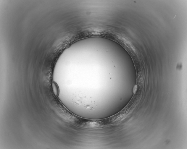 X0000094070509200711021513