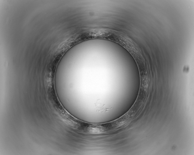 X0000094070510200711021513