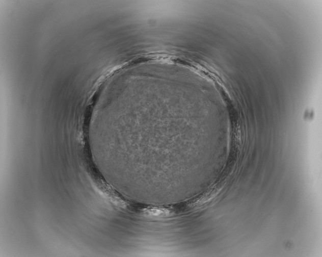 X0000094070512200711021513