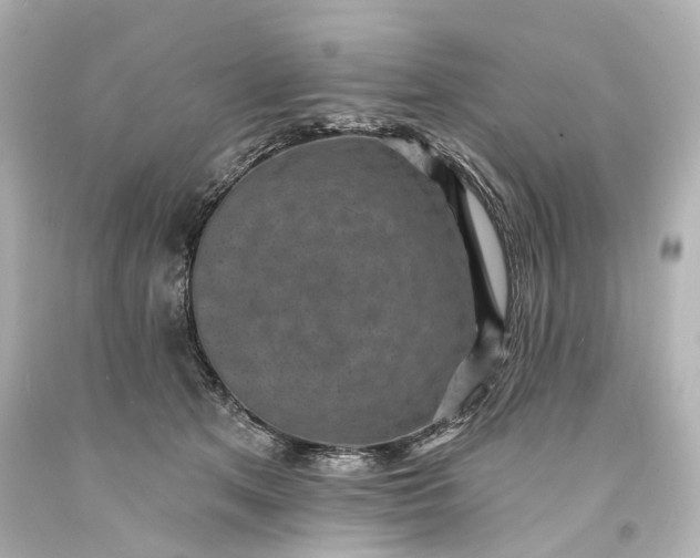 X0000094070513200711021513