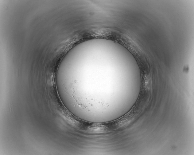 X0000094070514200711021513