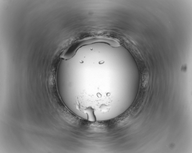 X0000094070515200711021513