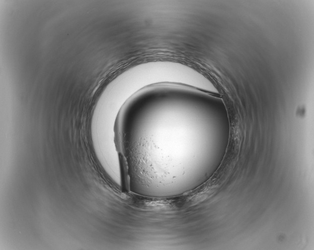 X0000094070516200711021513