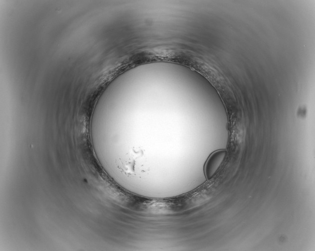 X0000094070518200711021513