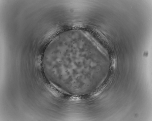 X0000094070519200711021513