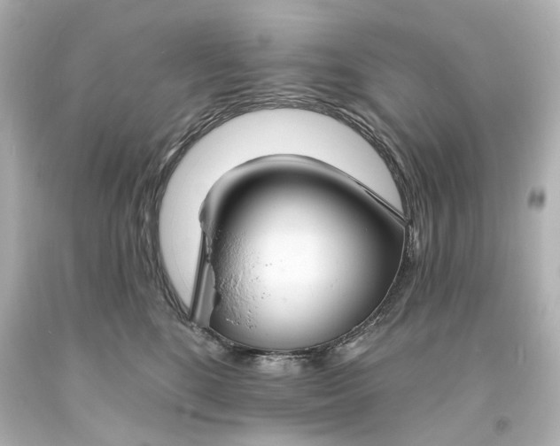 X0000094070520200711021513