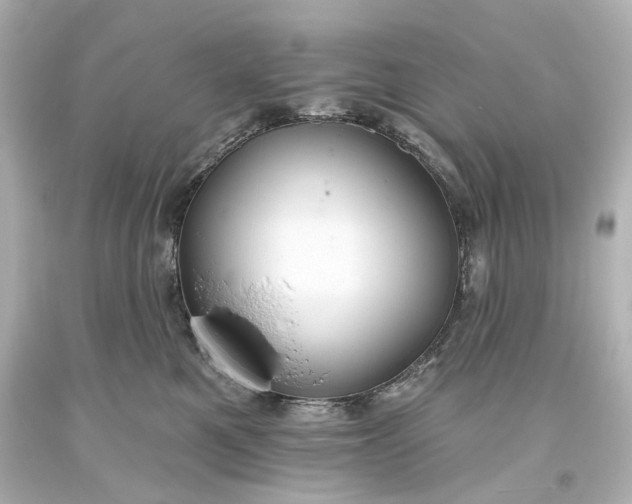 X0000094070521200711021513
