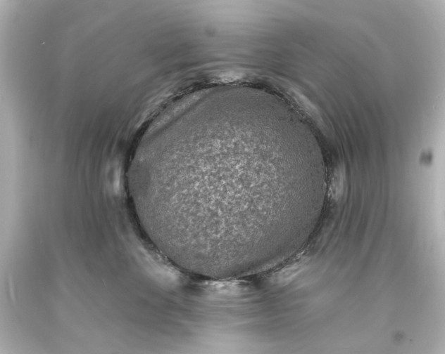X0000094070524200711021513