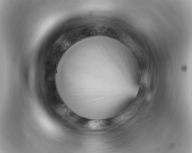 X0000094070526200711021513