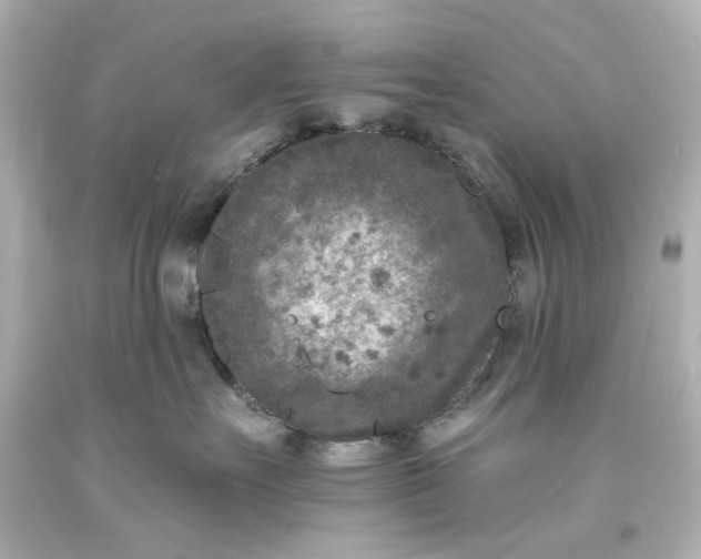 X0000094070527200711021513