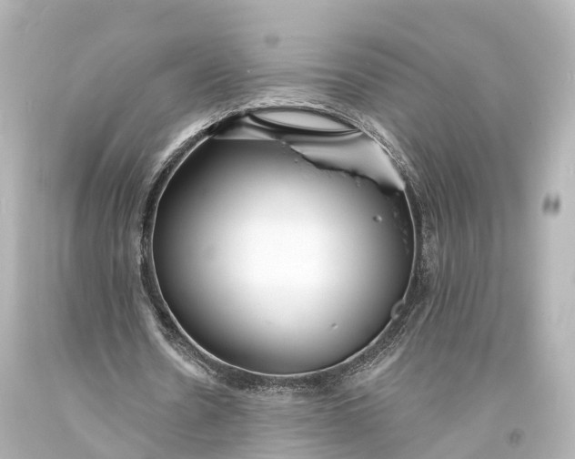 X0000094070530200711021512